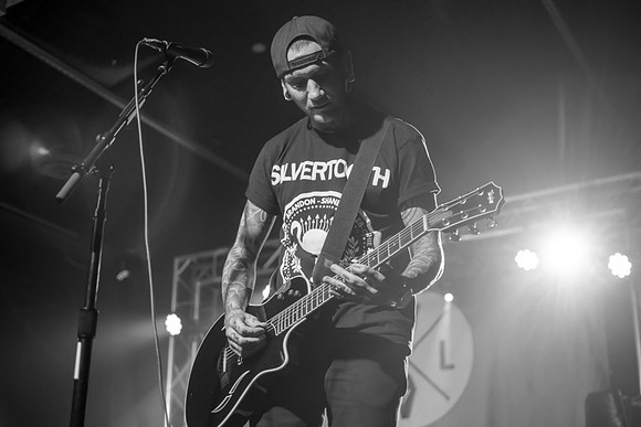 This Wild Life